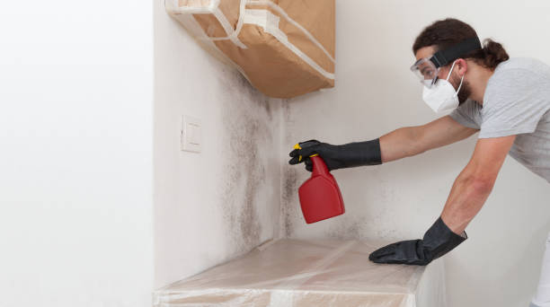Professional Black Mold Remediation technician working in Highland Park, NJ