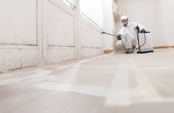 24/7 Emergency Black Mold Remediation experts in Highland Park, NJ