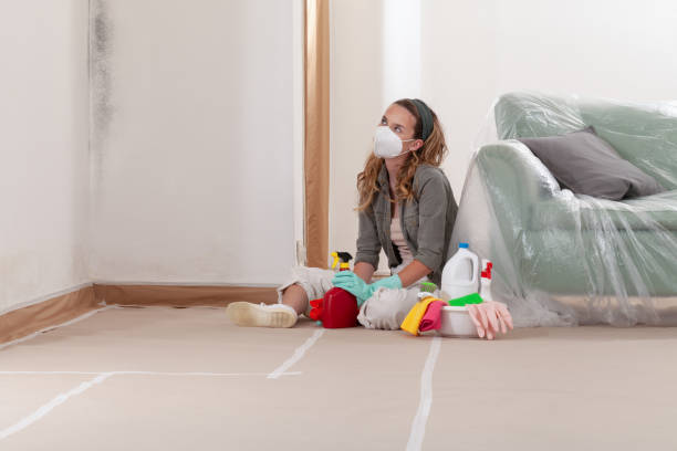 Reliable Black Mold Remediation contractor in Highland Park, NJ by Mold Remediation HQ